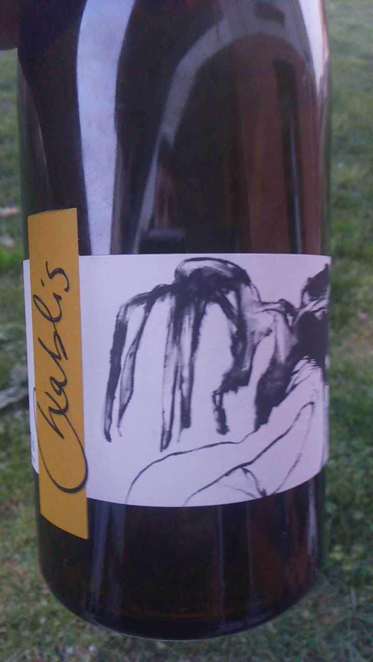 Vent d'Anges - Domaine Pattes Loup - Thomas Pico 