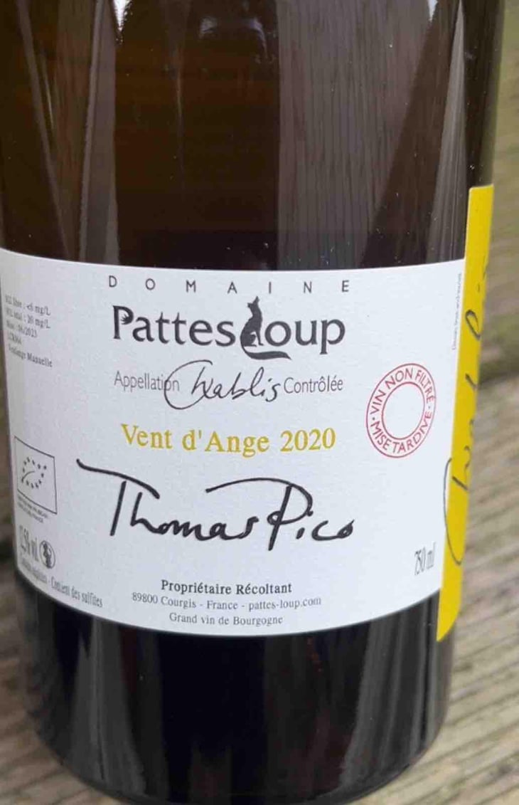 Vent d'Anges - Domaine Pattes Loup - Thomas Pico 