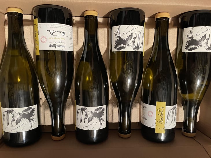 Vent d'Anges - Domaine Pattes Loup - Thomas Pico 