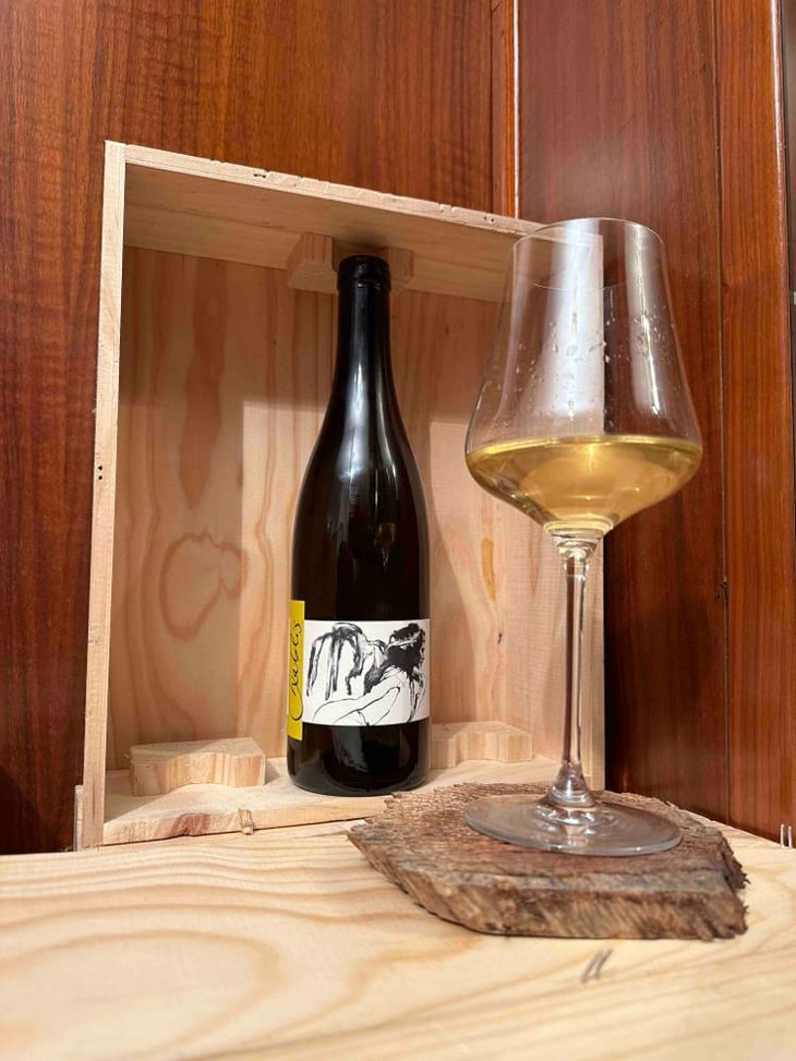 Vent d'Anges - Domaine Pattes Loup - Thomas Pico 