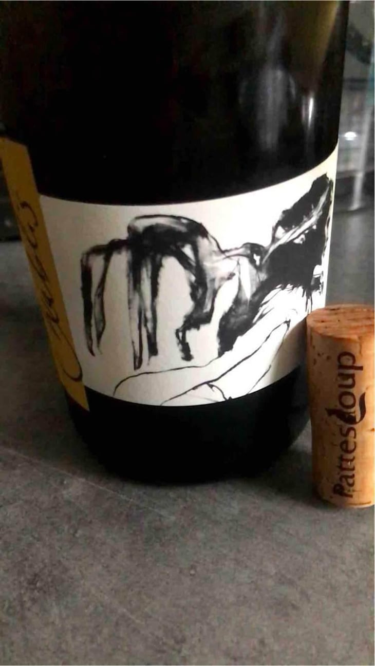 Vent d'Anges - Domaine Pattes Loup - Thomas Pico 