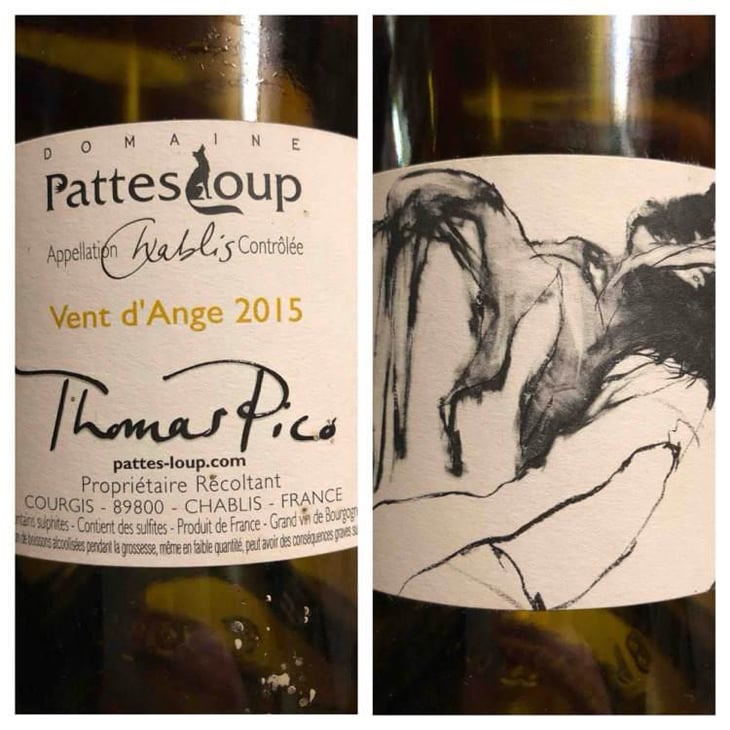 Vent d'Anges - Domaine Pattes Loup - Thomas Pico 