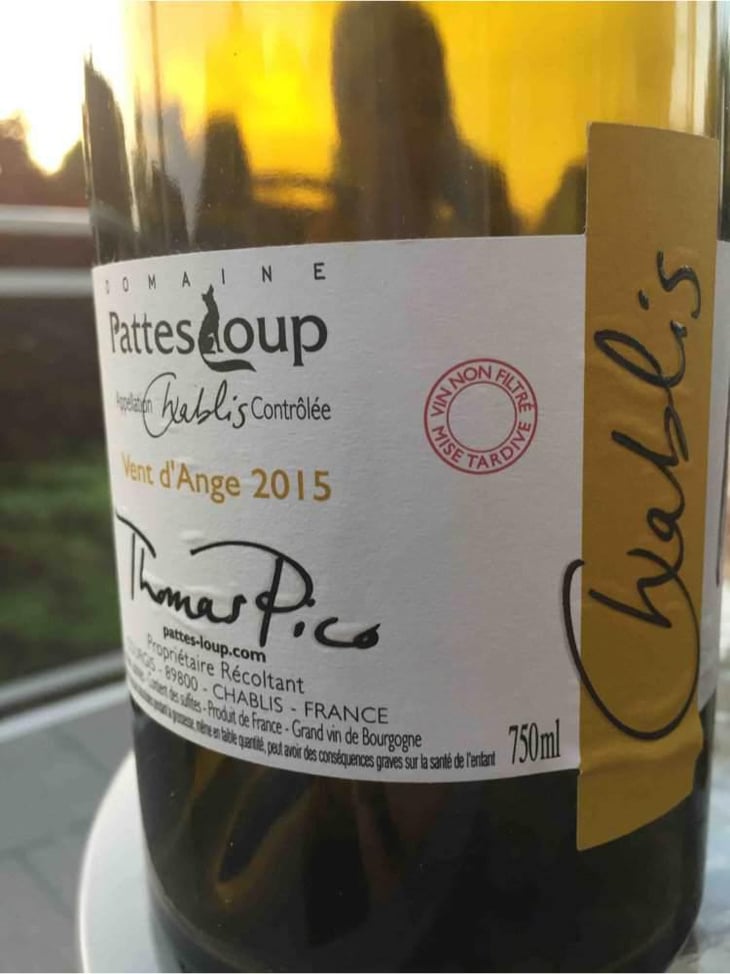 Vent d'Anges - Domaine Pattes Loup - Thomas Pico 