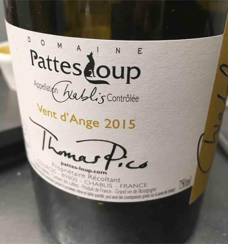 Vent d'Anges - Domaine Pattes Loup - Thomas Pico 