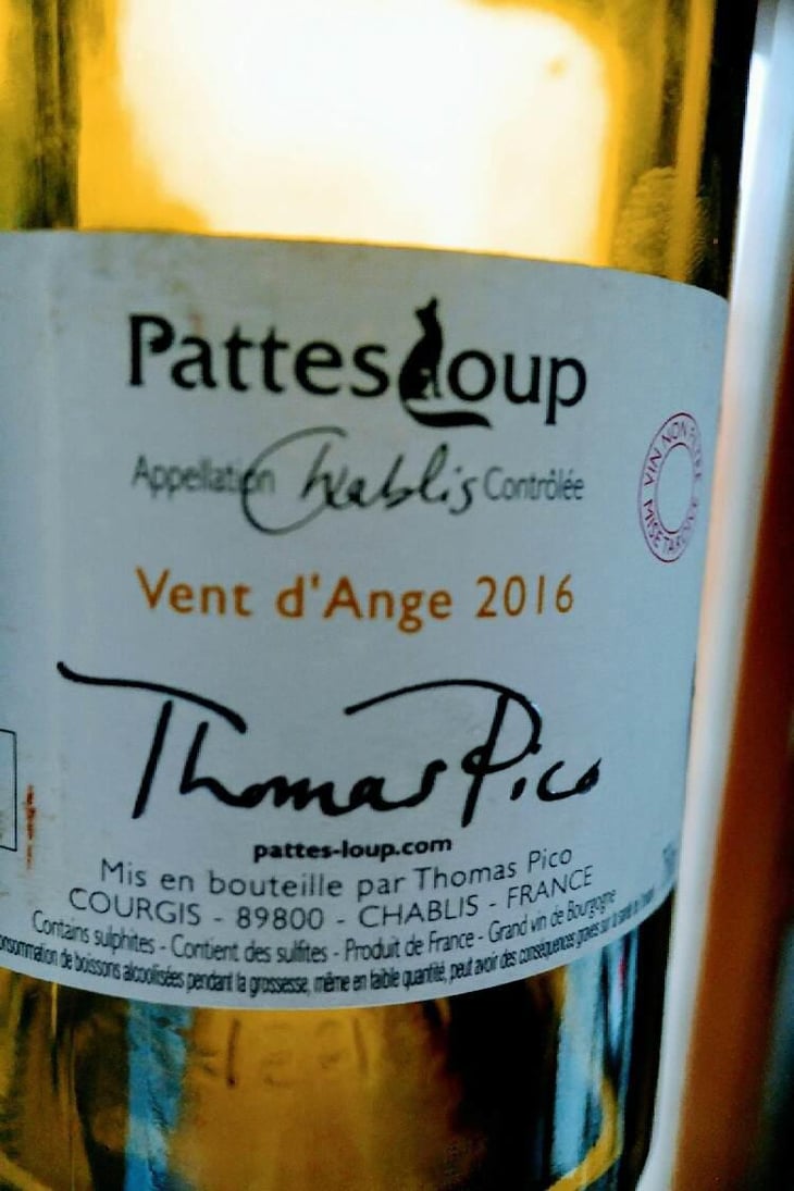 Vent d'Anges - Domaine Pattes Loup - Thomas Pico 