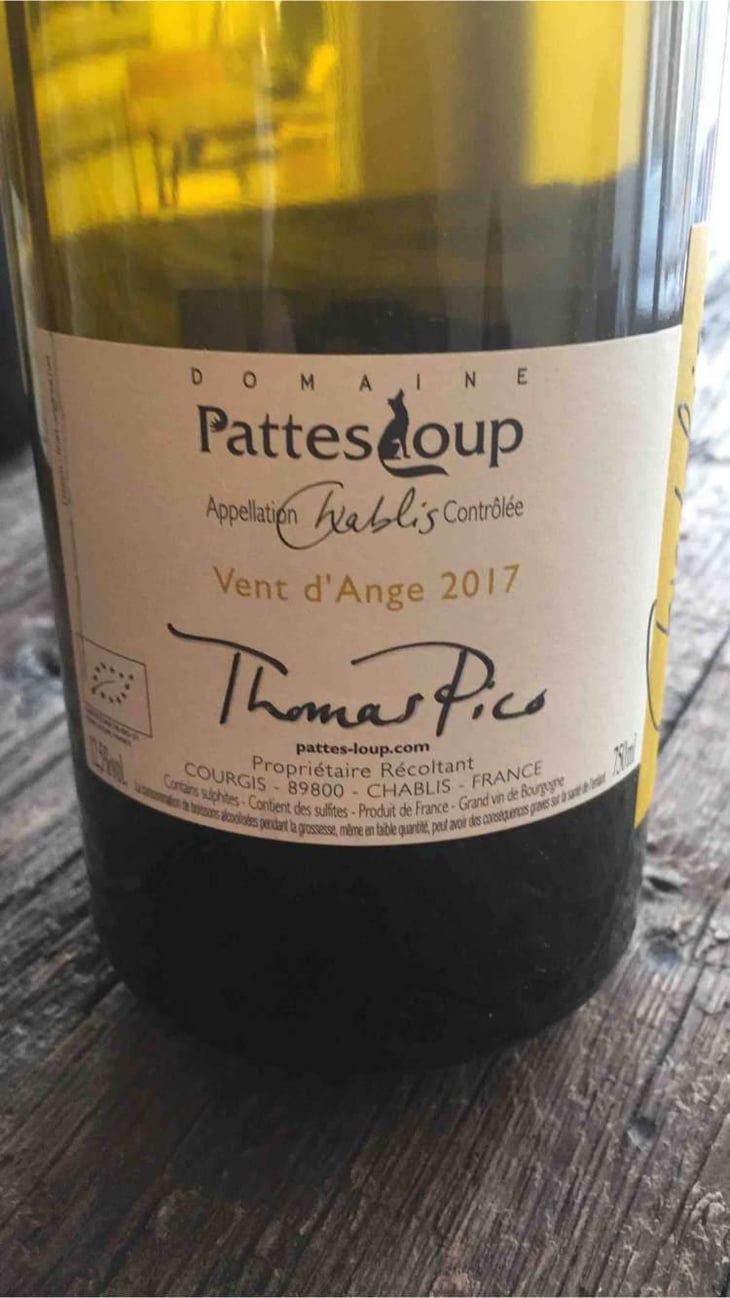 Vent d'Anges - Domaine Pattes Loup - Thomas Pico 