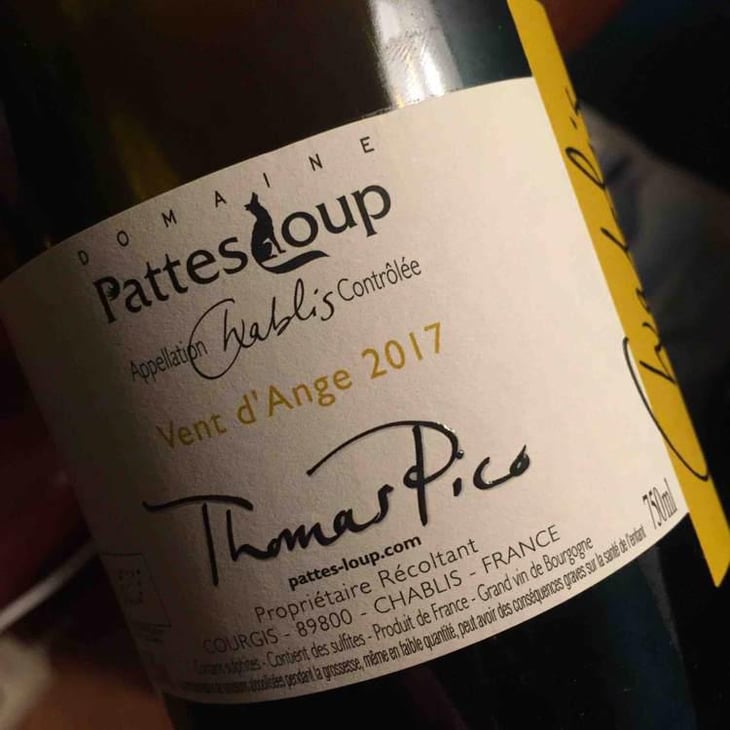 Vent d'Anges - Domaine Pattes Loup - Thomas Pico 