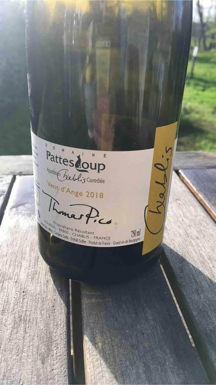 Vent d'Anges - Domaine Pattes Loup - Thomas Pico 