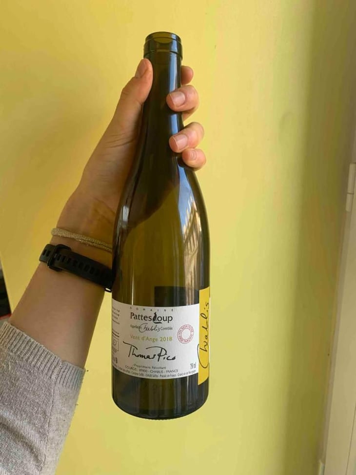 Vent d'Anges - Domaine Pattes Loup - Thomas Pico 