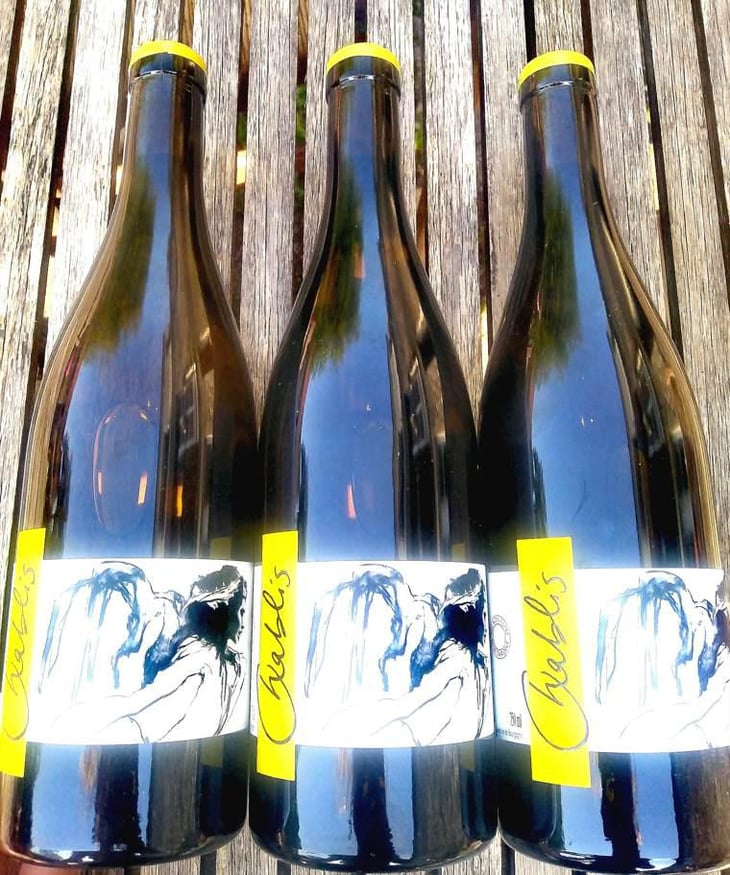 Vent d'Anges - Domaine Pattes Loup - Thomas Pico 