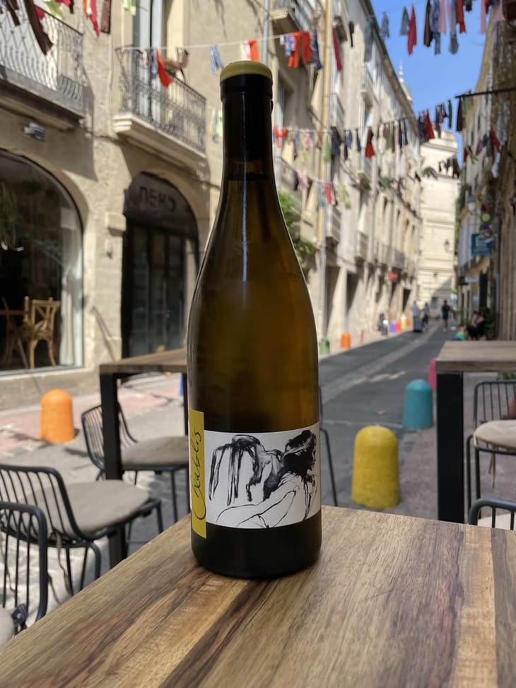 Vent d'Anges - Domaine Pattes Loup - Thomas Pico 