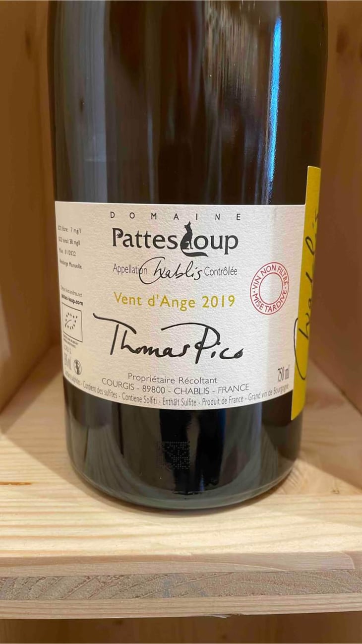 Vent d'Anges - Domaine Pattes Loup - Thomas Pico 