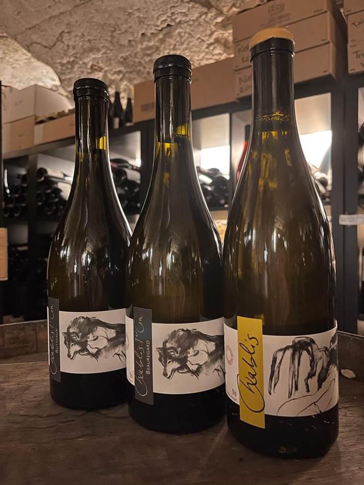 Vent d'Anges - Domaine Pattes Loup - Thomas Pico 