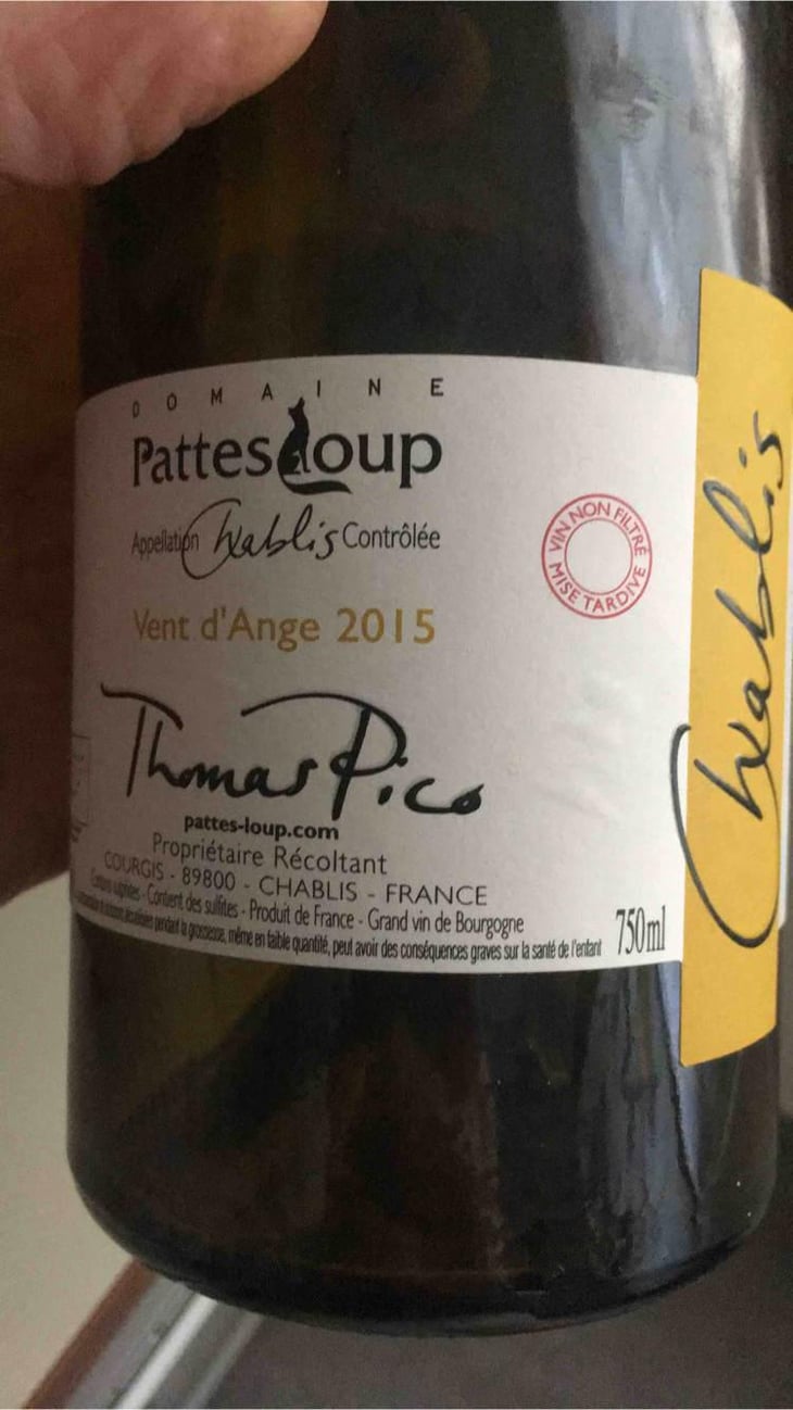 Vent d'Anges - Domaine Pattes Loup - Thomas Pico 