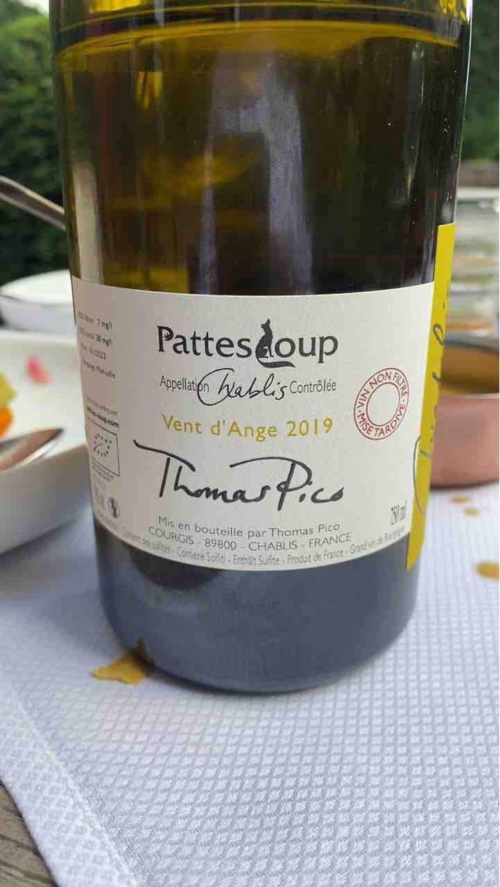 Vent d'Anges - Domaine Pattes Loup - Thomas Pico 