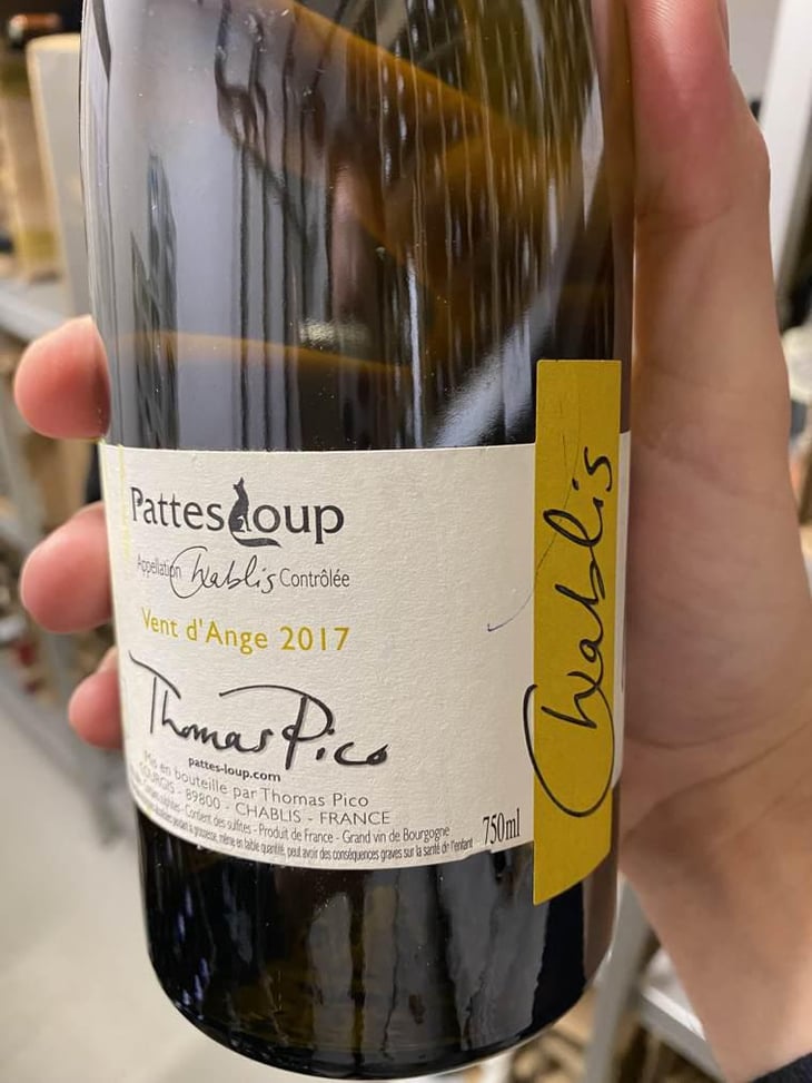 Vent d'Anges - Domaine Pattes Loup - Thomas Pico 