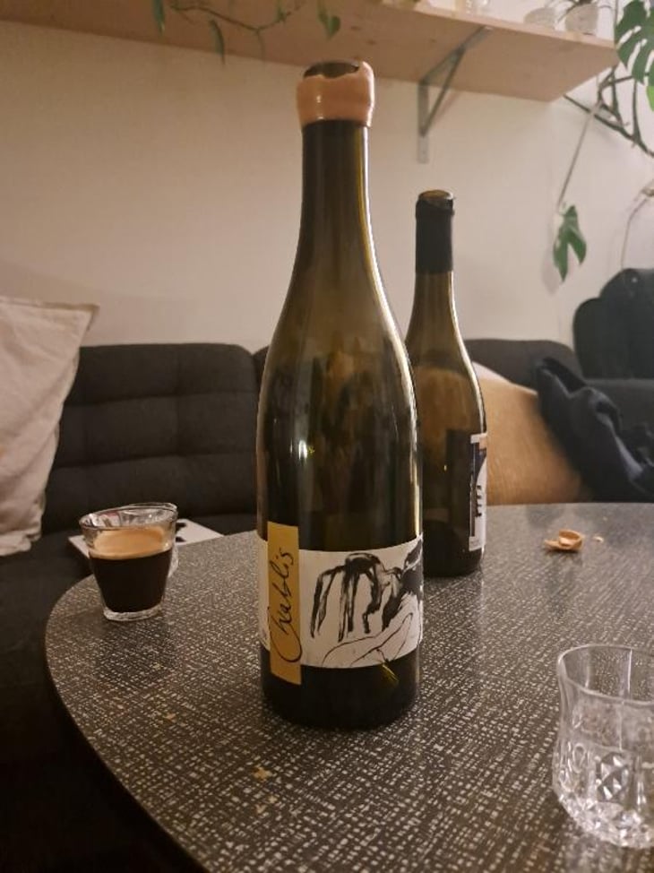 Vent d'Anges - Domaine Pattes Loup - Thomas Pico 