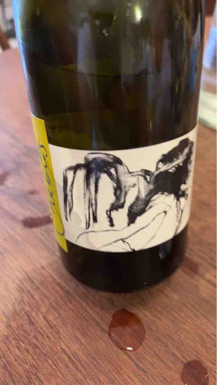 Vent d'Anges - Domaine Pattes Loup - Thomas Pico 