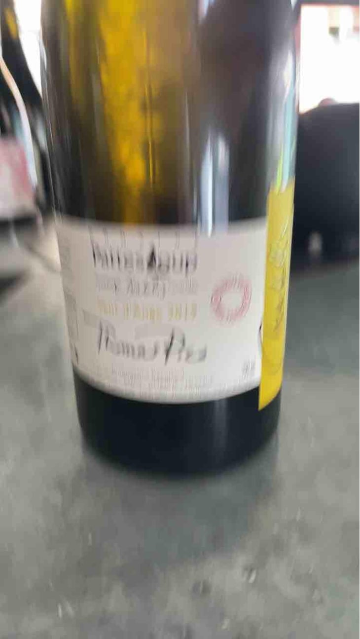 Vent d'Anges - Domaine Pattes Loup - Thomas Pico 