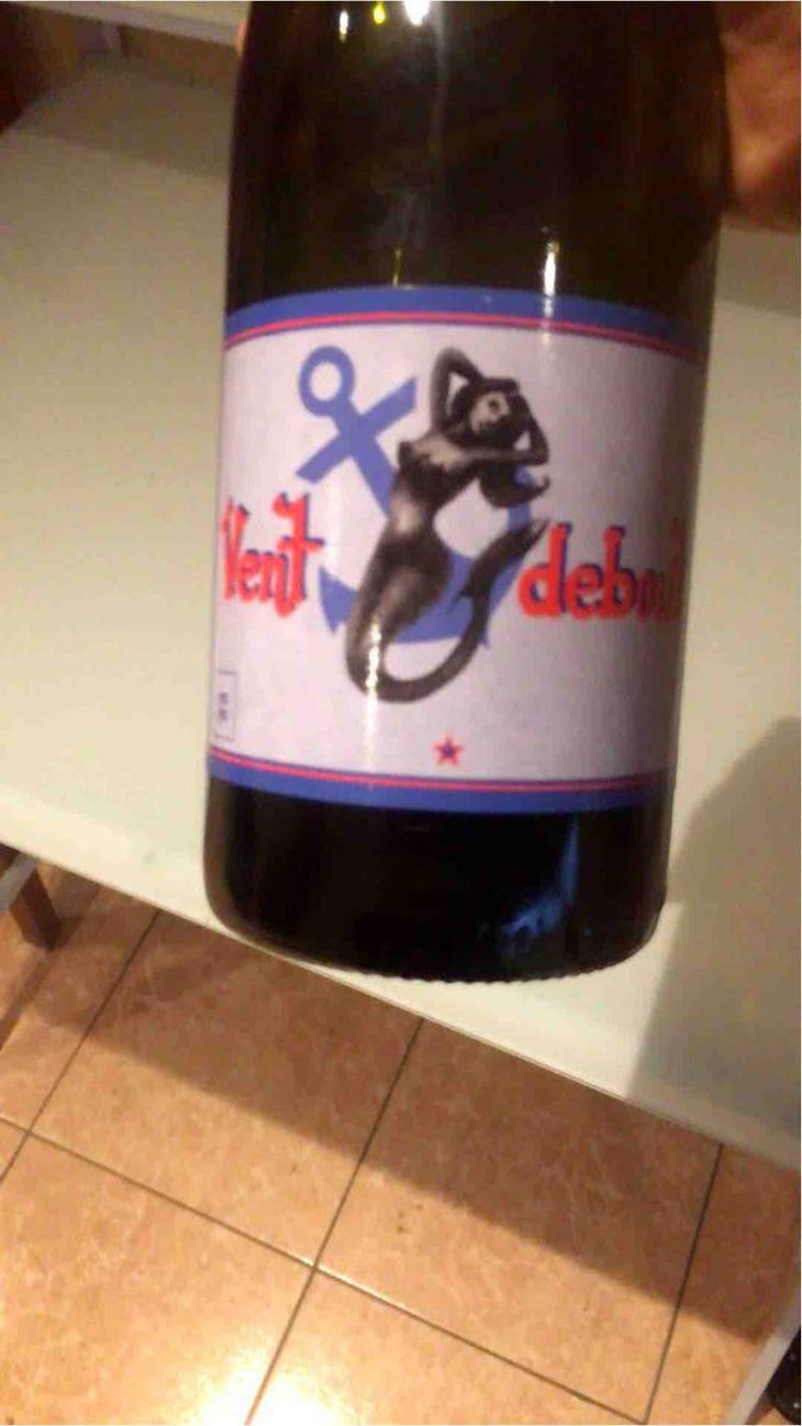 Vent Debout - Domaine Yoyo - Laurence Manya Krief 