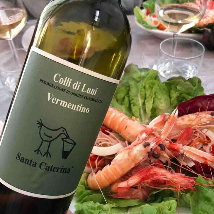Vermentino Colli di Luni - Santa Caterina - Andrea Kihlgren 