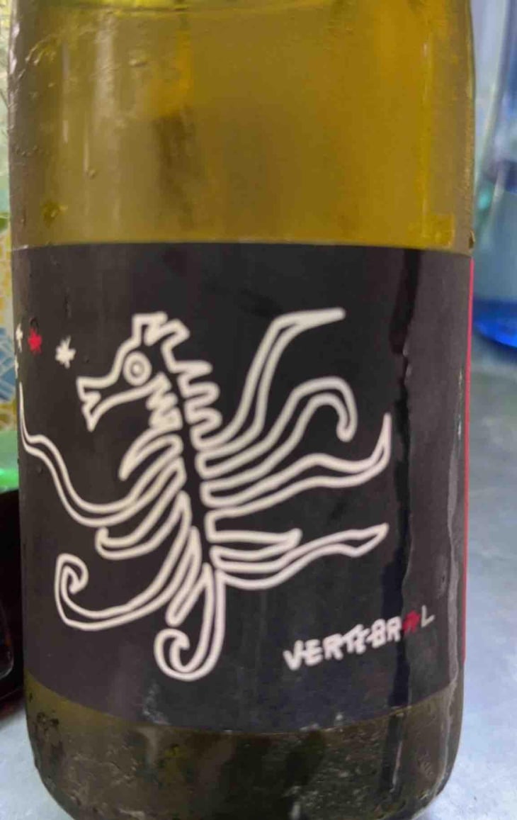 Vertebrale - Zou Maï - John Almansa 