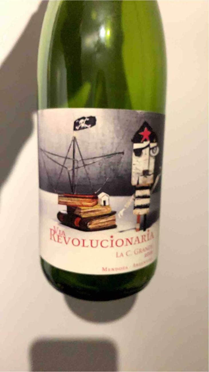 Via Revolucionária Torrontès Brutal - Passionate Wine - Matias Michelini 