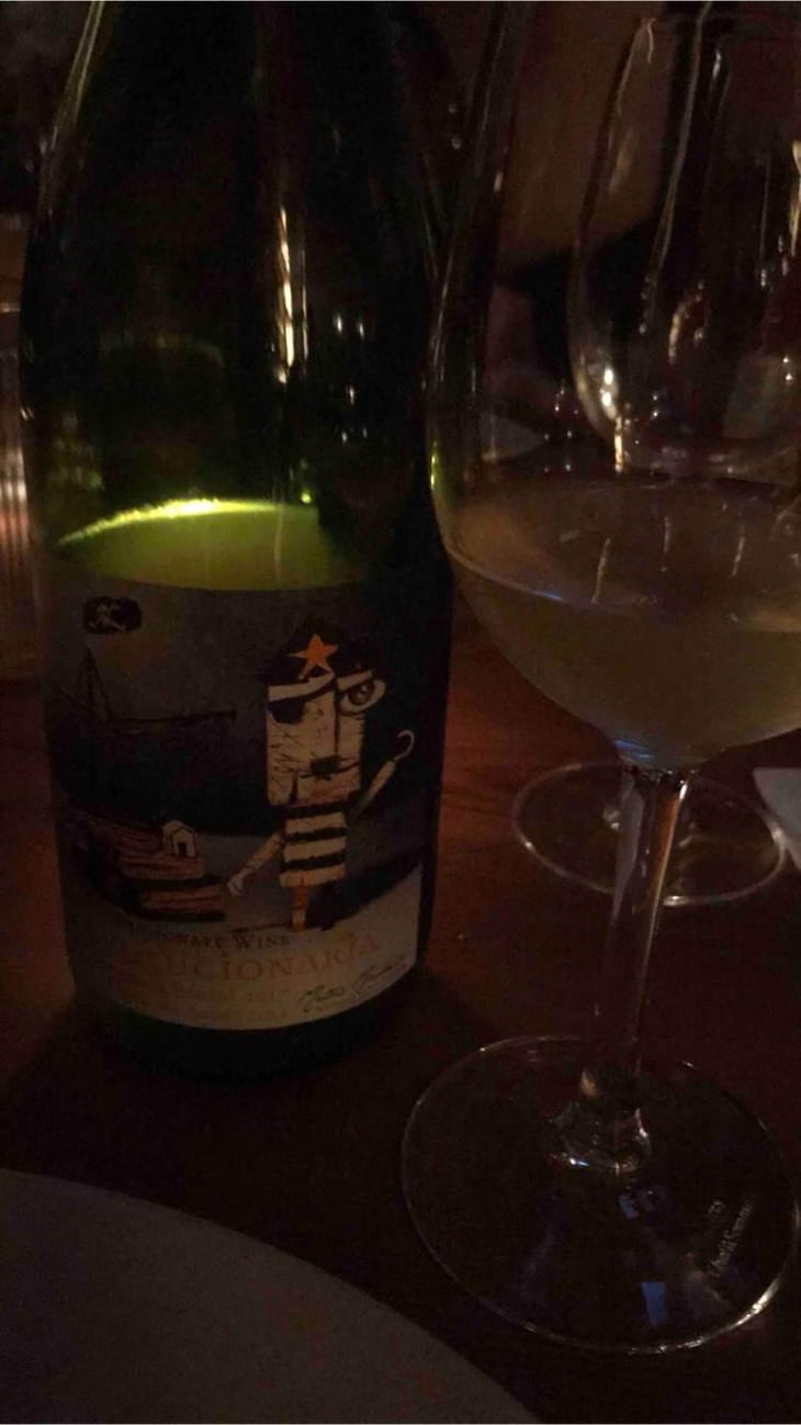Via Revolucionária Torrontès Brutal - Passionate Wine - Matias Michelini 