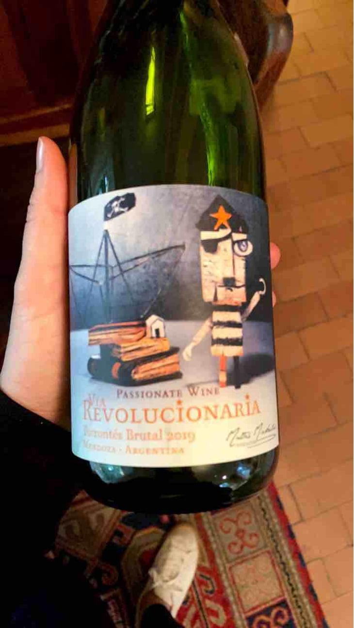 Via Revolucionária Torrontès Brutal - Passionate Wine - Matias Michelini 