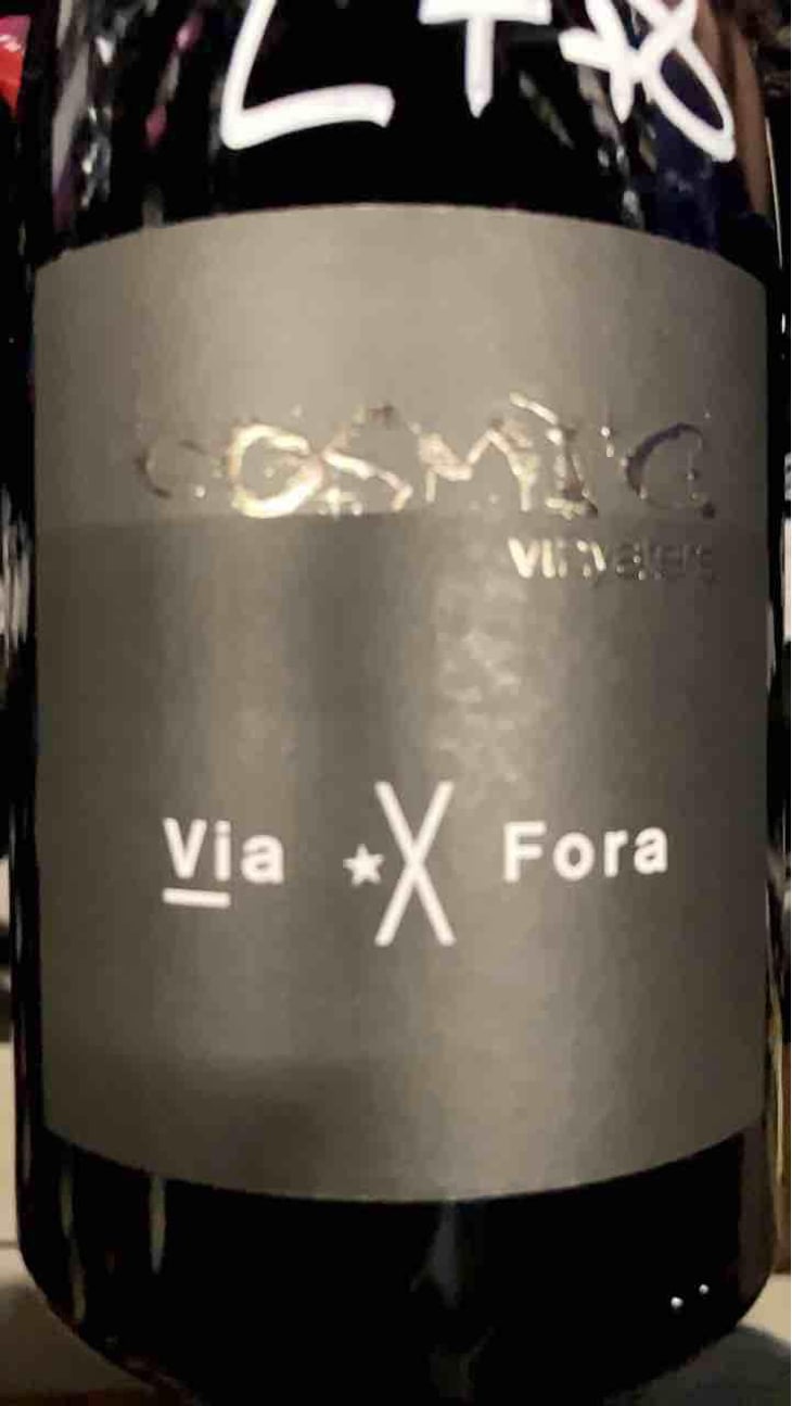Via X Fora - Còsmic Vinyaters - Salvador Batlle Barrabeig -2019