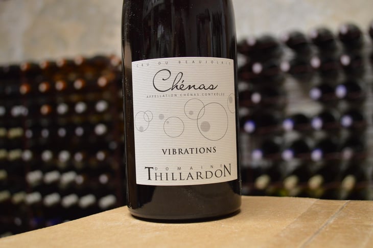 Vibrations - Domaine Thillardon - Aude, Jean-Baptiste, Charles et Paul-Henri Thillardon 