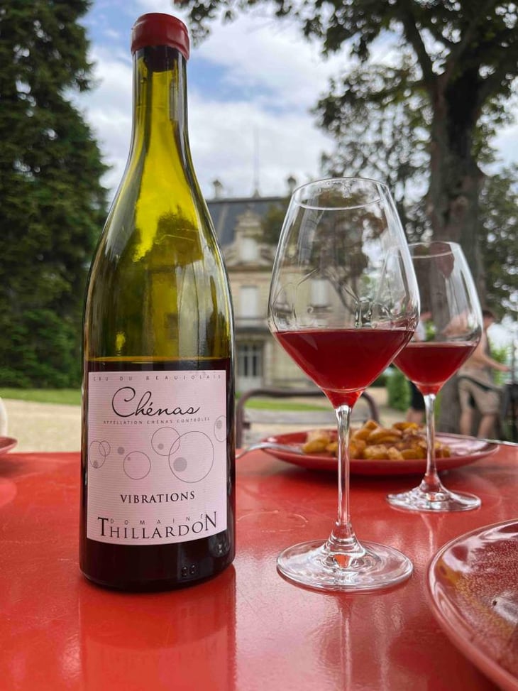 Vibrations - Domaine Thillardon - Aude, Jean-Baptiste, Charles et Paul-Henri Thillardon 