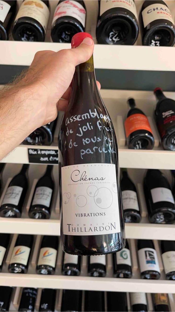 Vibrations - Domaine Thillardon - Aude, Jean-Baptiste, Charles et Paul-Henri Thillardon 