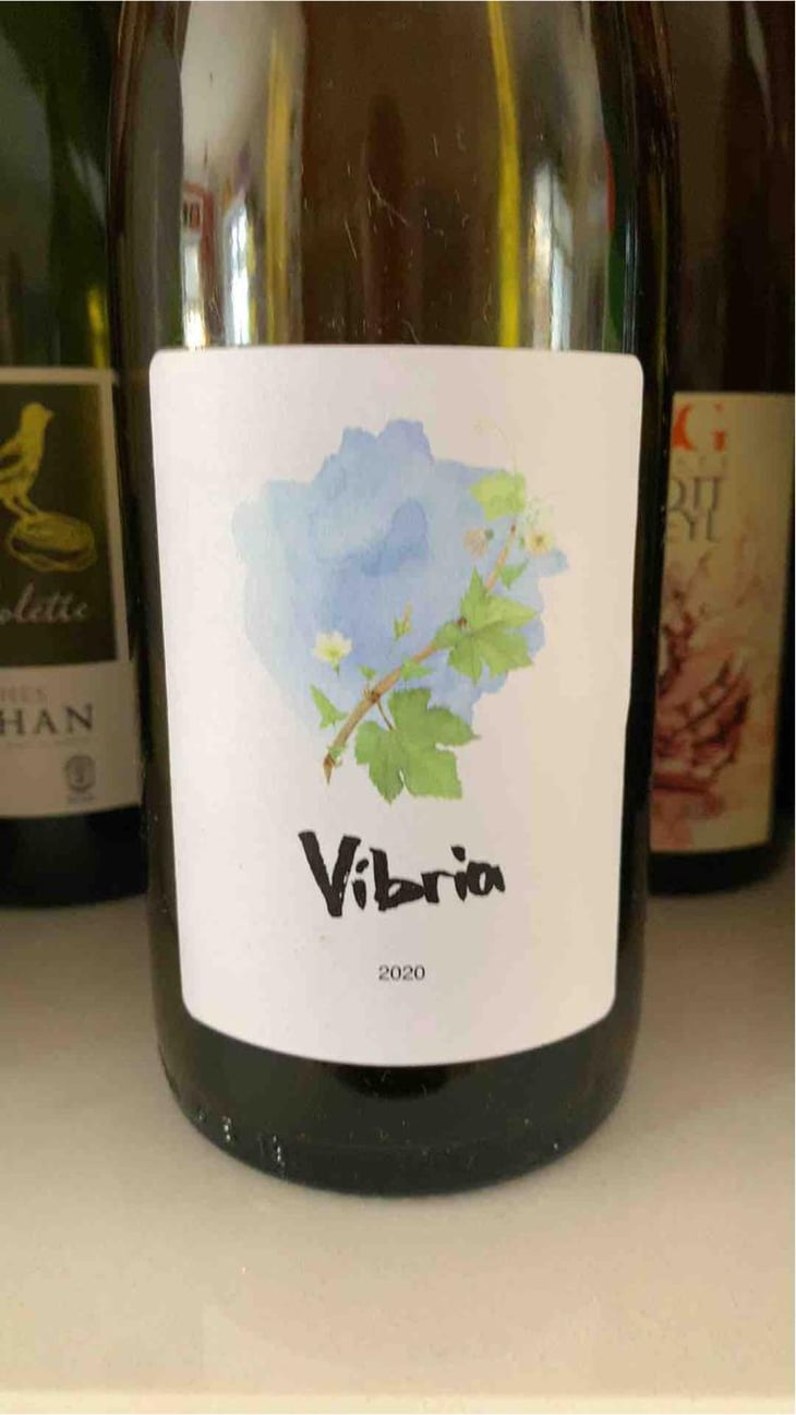 Vibria - Sifer Wines - Ephraim Orengo 