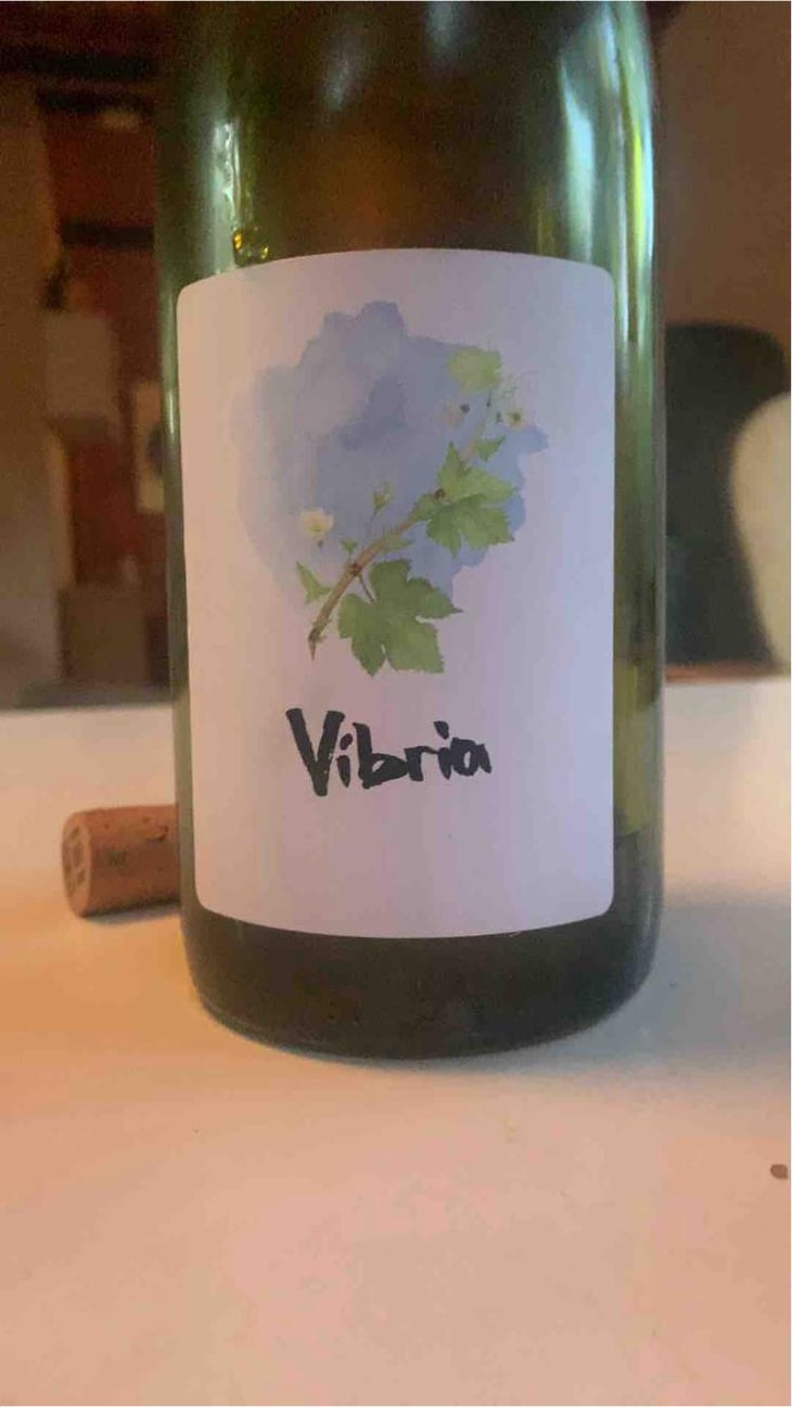 Vibria - Sifer Wines - Ephraim Orengo 