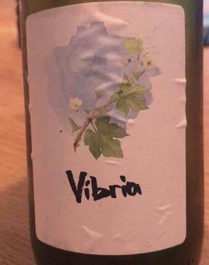 Vibria - Sifer Wines - Ephraim Orengo 