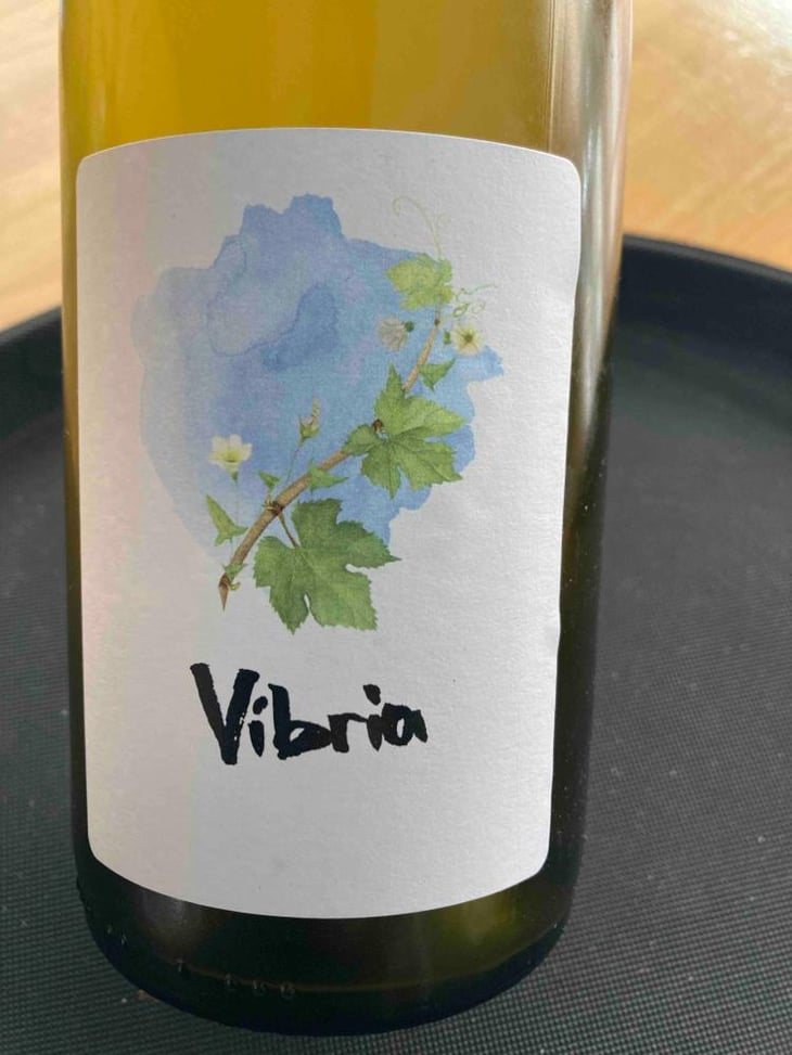 Vibria - Sifer Wines - Ephraim Orengo 