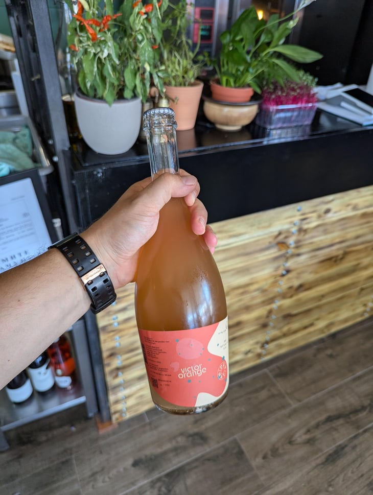Victor - Bikicki Winery - Djordje Bikicki 