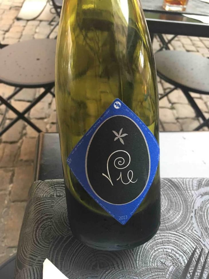 Vie - Clos Massotte - Pierre Nicolas Massotte 