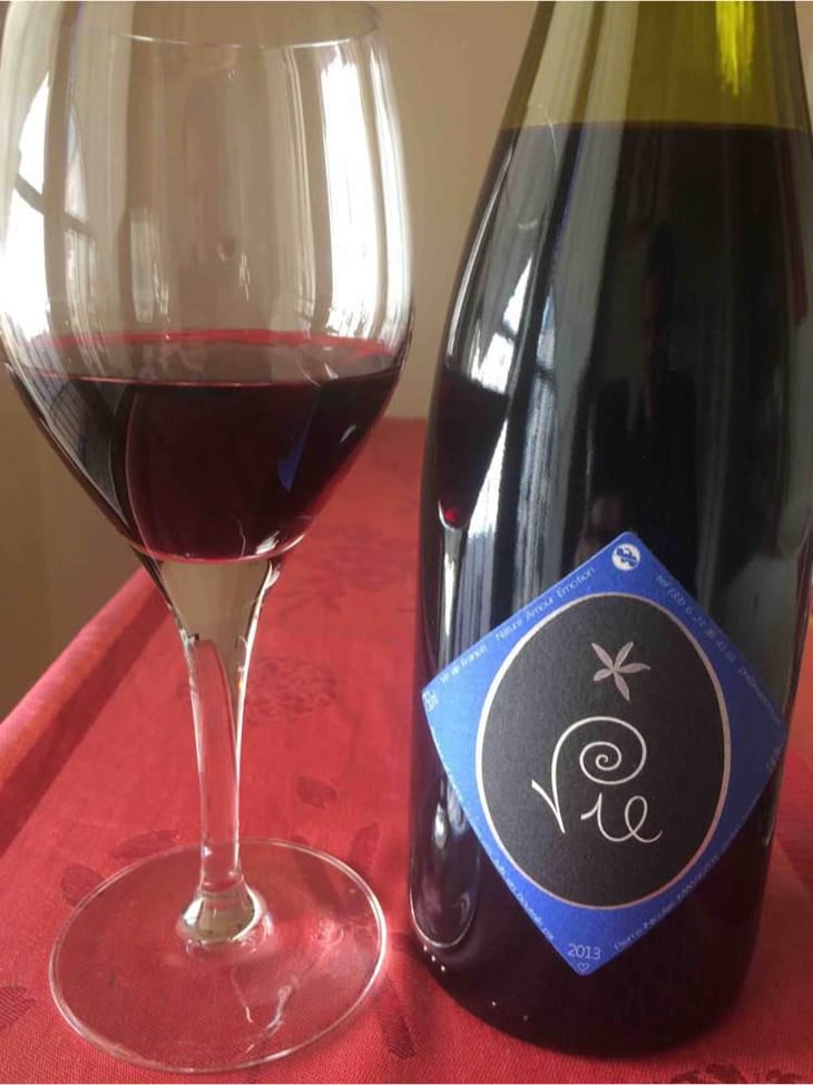 Vie - Clos Massotte - Pierre Nicolas Massotte 