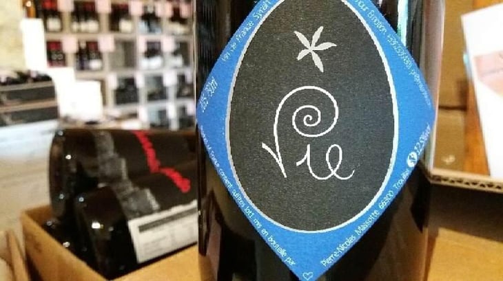 Vie - Clos Massotte - Pierre Nicolas Massotte 