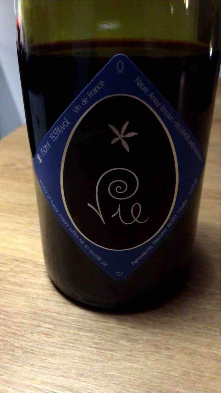 Vie - Clos Massotte - Pierre Nicolas Massotte 