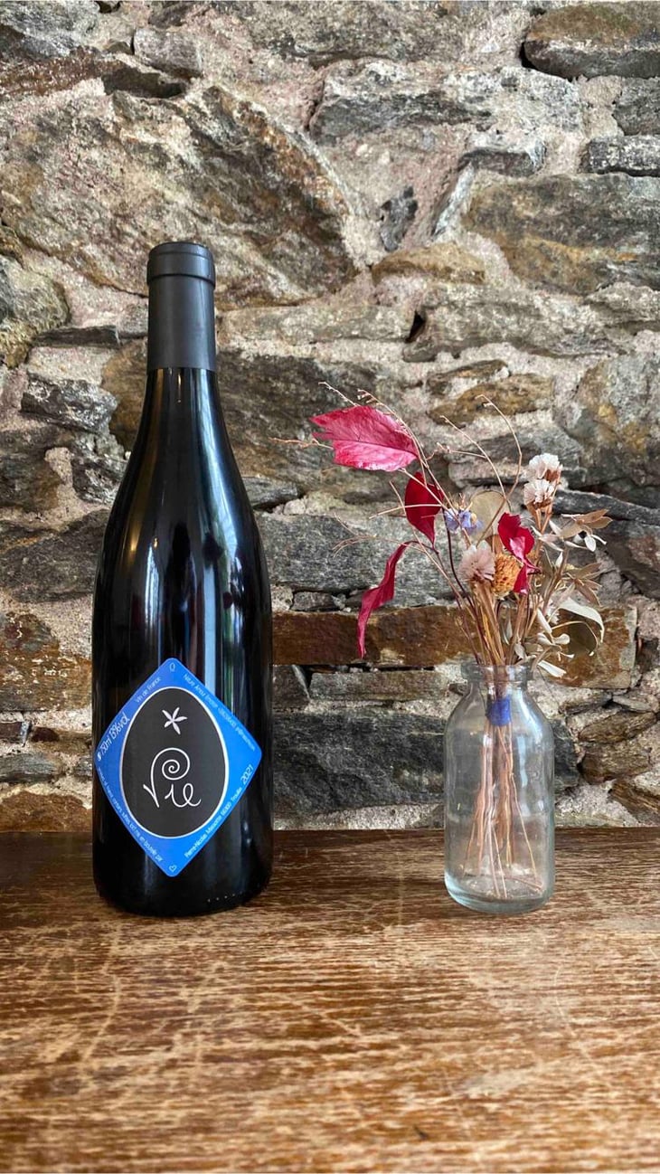Vie - Clos Massotte - Pierre Nicolas Massotte 