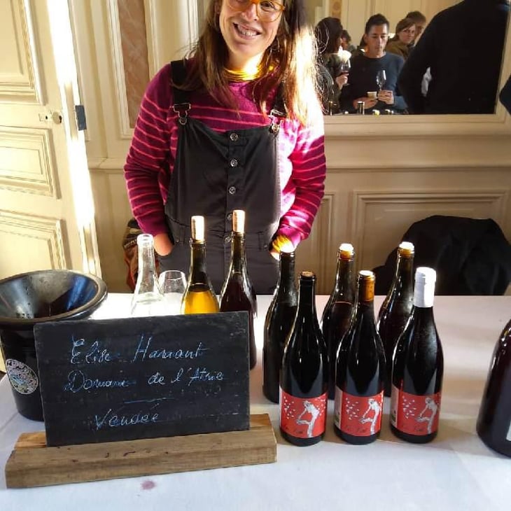 Vie Vent - Vignes De L'Atrie (CLOSED) - Elise Hamant (CLOSED) 