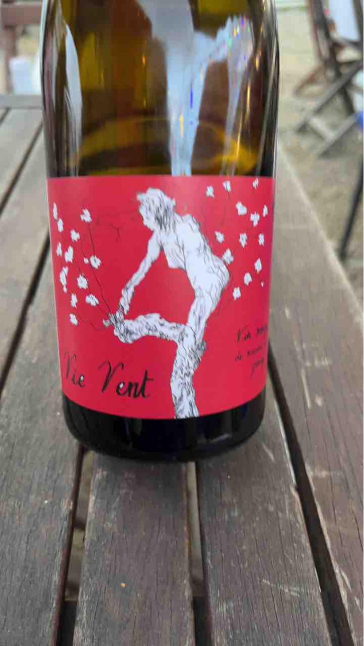Vie Vent - Vignes De L'Atrie (CLOSED) - Elise Hamant (CLOSED) 