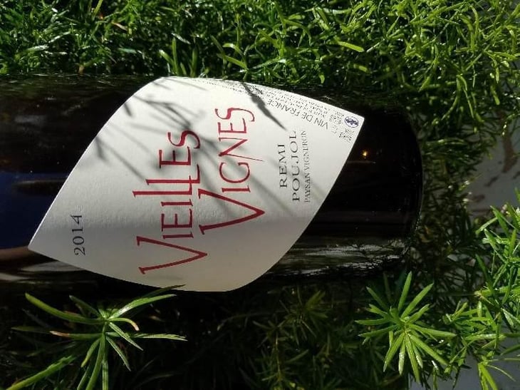 Vieilles Vignes - Le Temps Fait Tout - Rémi Poujol 