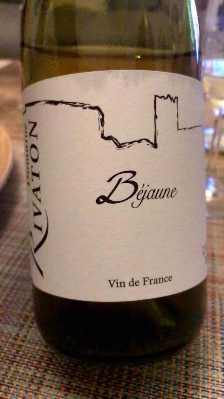 Vieilles Vignes - Domaine Rivaton - Frédéric Rivaton 