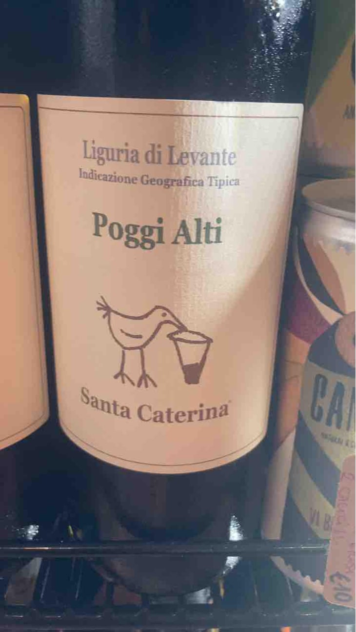 Vigna Chiusa - Santa Caterina - Andrea Kihlgren 