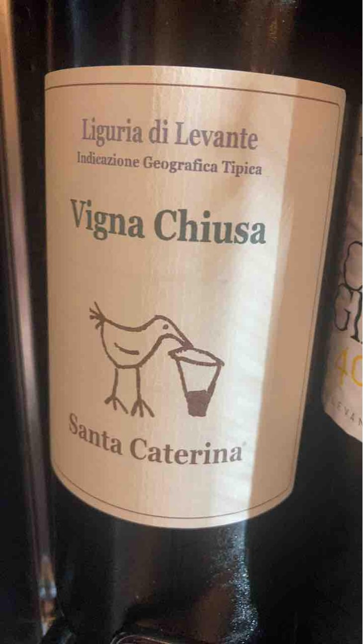 Vigna Chiusa - Santa Caterina - Andrea Kihlgren 