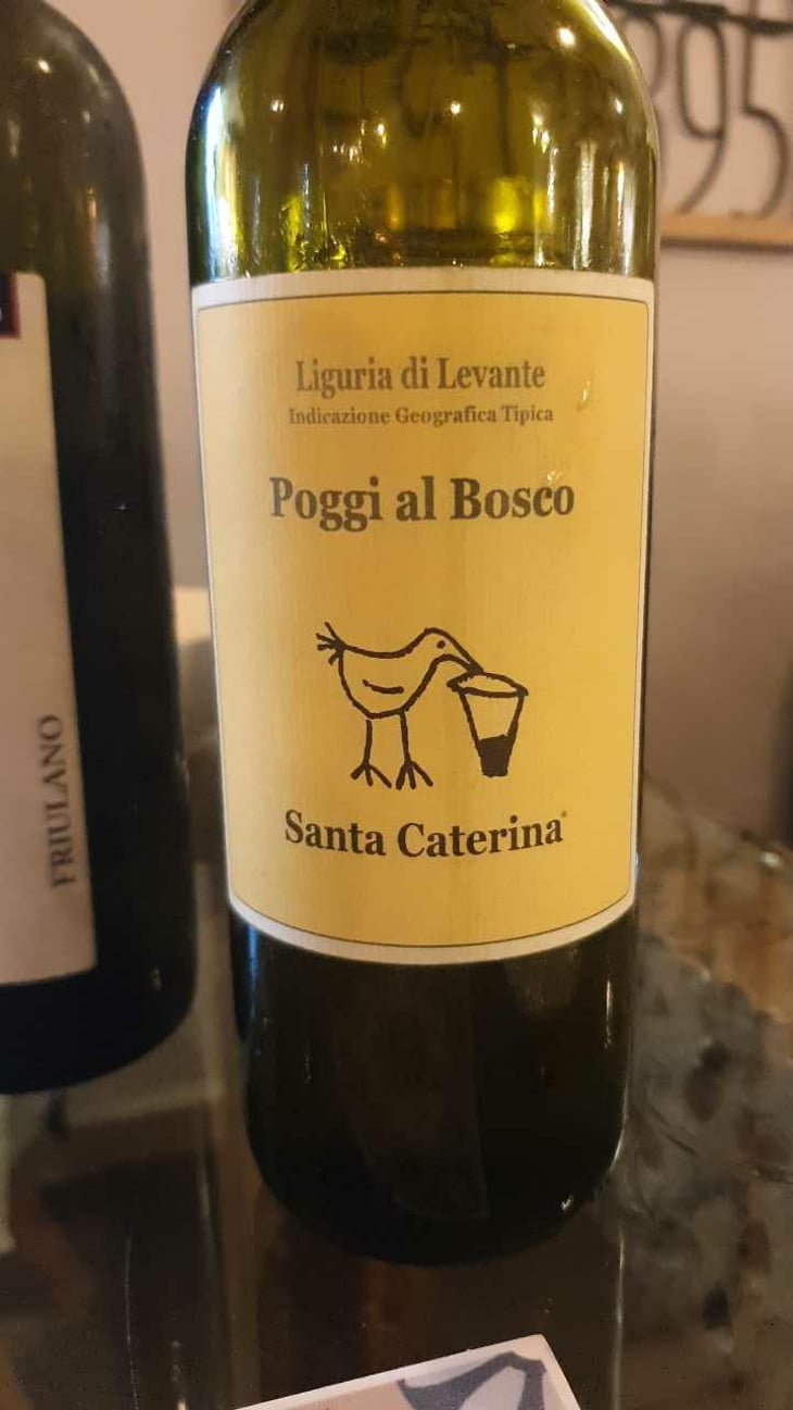 Vigna Chiusa - Santa Caterina - Andrea Kihlgren 